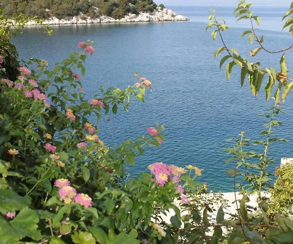 By The Sea Zaklopatica, - 8393 Apartament *